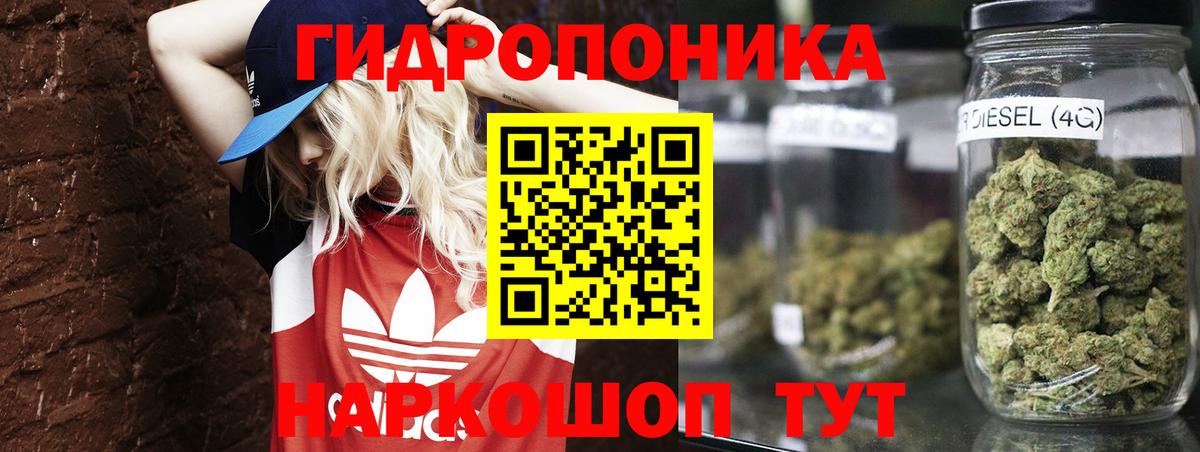 Шишки марихуана Ganja  Канабис гибрид  Канабис семена  Свободный  Каннабис SATIVA & INDICA  Вход с VPN 